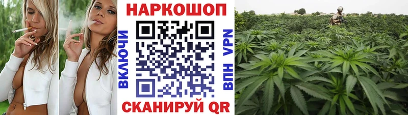 Галлюциногенные грибы Таруса