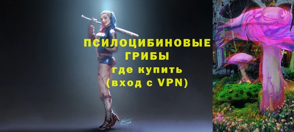 трава Арсеньев