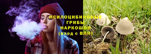 гашик Армянск