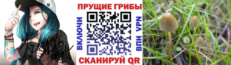 Псилоцибиновые грибы мухоморы  Таруса 